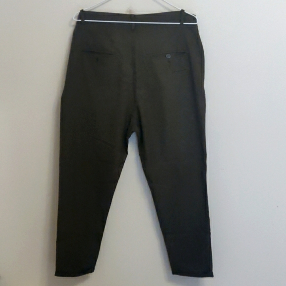 Zara pants